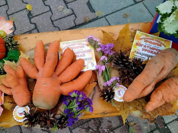 17. Богатырский урожай